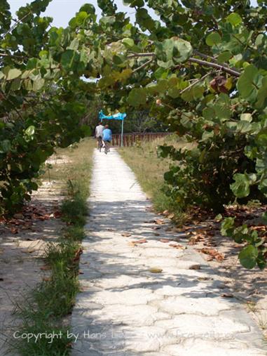 2004 Cuba, Cayo Ensenachos, DSC00815 B_B720